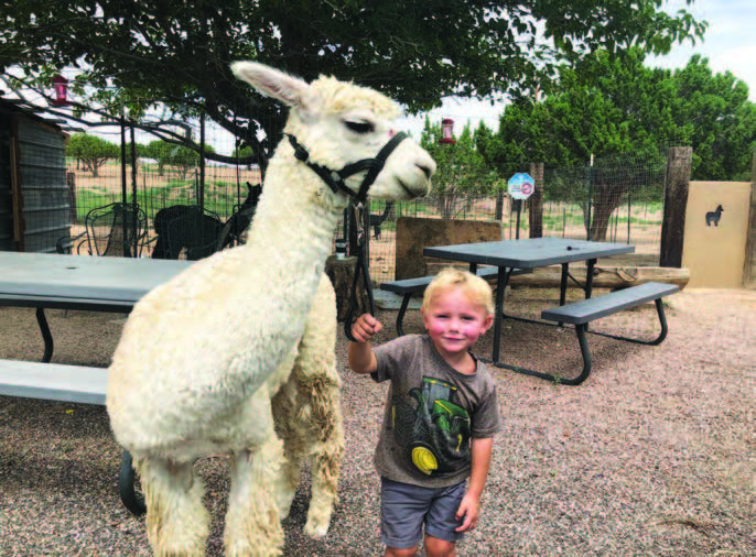 Alpacas of the Southwest hosting annual Alpaca Farm Days Celebration Oct. 1-2